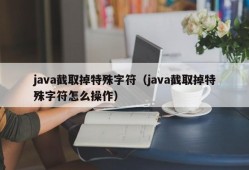 java截取掉特殊字符（java截取掉特殊字符怎么操作）