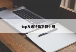 tcp发送特殊字符中断