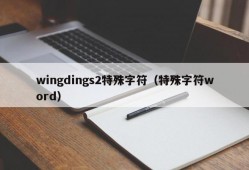 wingdings2特殊字符（特殊字符word）