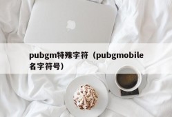 pubgm特殊字符（pubgmobile名字符号）