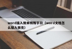 word插入微米特殊字符（word文档怎么输入微克）