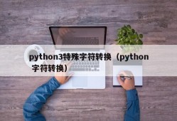 python3特殊字符转换（python 字符转换）