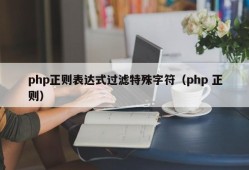 php正则表达式过滤特殊字符（php 正则）