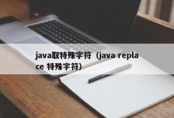 java取特殊字符（java replace 特殊字符）