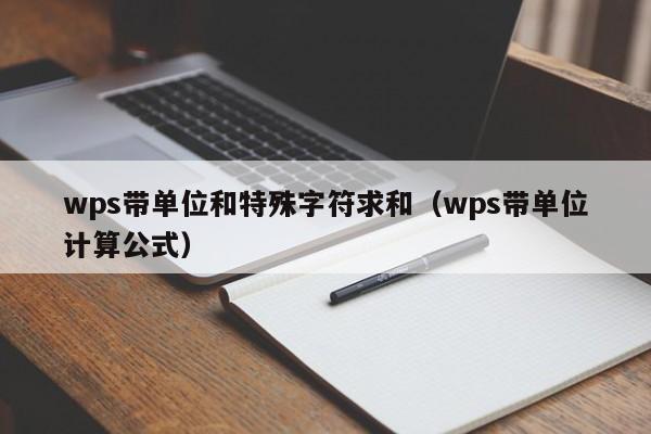 wps带单位和特殊字符求和（wps带单位计算公式）
