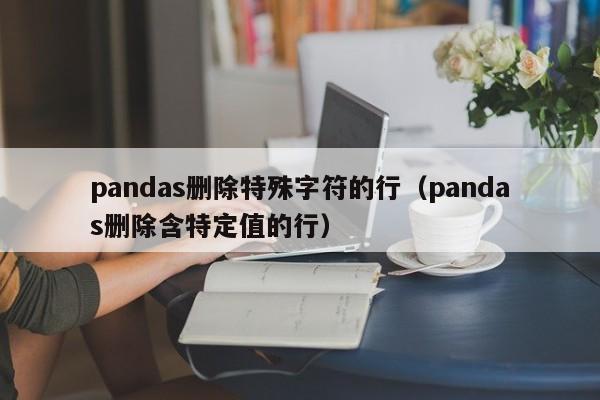 pandas删除特殊字符的行（pandas删除含特定值的行）