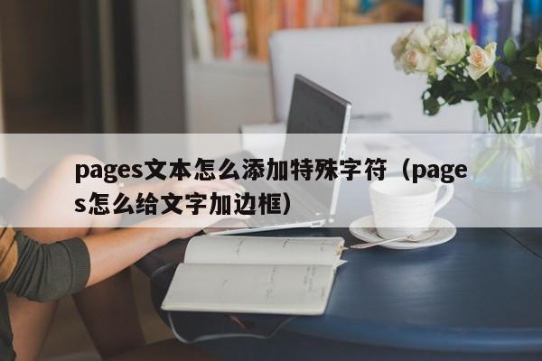 pages文本怎么添加特殊字符（pages怎么给文字加边框）