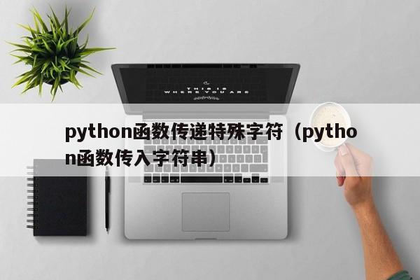 python函数传递特殊字符（python函数传入字符串）