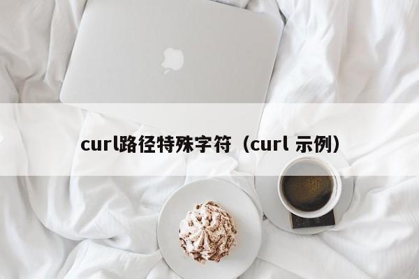 curl路径特殊字符（curl 示例）