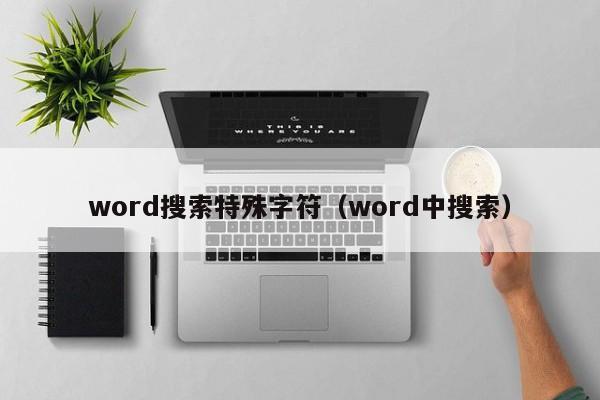 word搜索特殊字符（word中搜索）