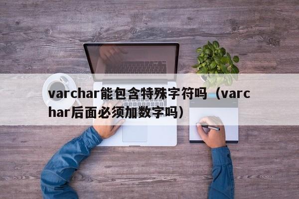 varchar能包含特殊字符吗（varchar后面必须加数字吗）