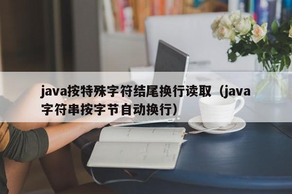 java按特殊字符结尾换行读取（java字符串按字节自动换行）