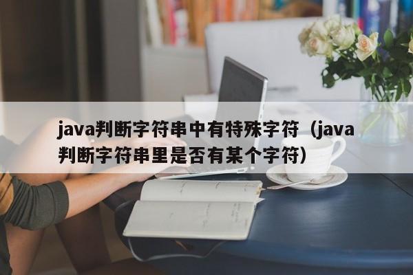 java判断字符串中有特殊字符（java判断字符串里是否有某个字符）