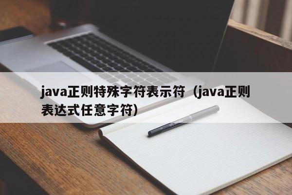 java正则特殊字符表示符（java正则表达式任意字符）