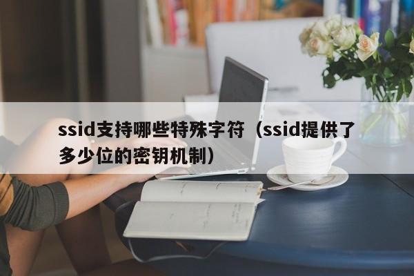 ssid支持哪些特殊字符（ssid提供了多少位的密钥机制）