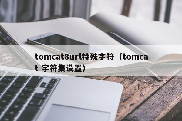 tomcat8url特殊字符（tomcat 字符集设置）