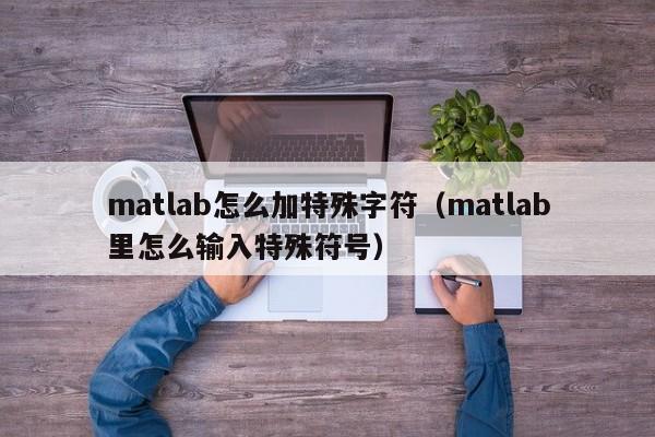 matlab怎么加特殊字符（matlab里怎么输入特殊符号）