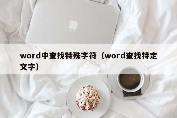 word中查找特殊字符（word查找特定文字）